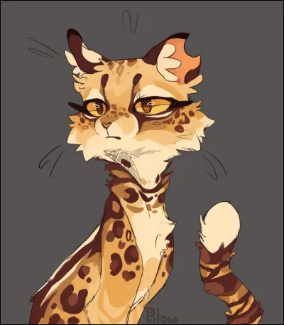 Quels ont été les noms dÉtoile du Léopard ?