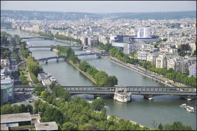 Dans quelle grande ville française l'île aux Cygnes est-elle située ?