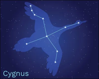 La constellation du Cygne est également appelée la Croix du nord.