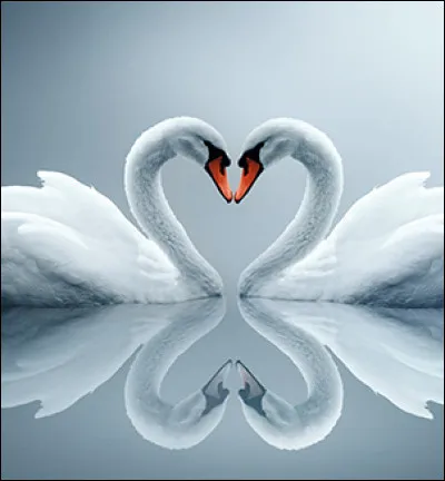 La dernière uvre d'un artiste avant sa mort est appelée :