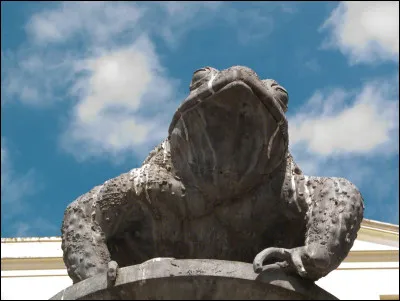 Quel est cet animal ?