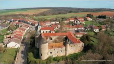 Vous avez sur cette image, en premier plan, le château de Manonville. Village de l'arrondissement de Toul mais inclus dans l'aire d'attraction Nancéenne, il se situe dans le département ...