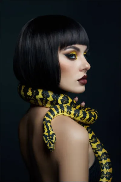 Déesse protectrice des tombes et des nécropoles, en particulier dans la région de la vallée des Rois dans la région de Thèbes. Qui est-elle ?