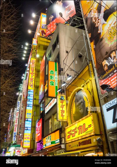 Quel est le pays dorigine des mangas ? (Une seule réponse)