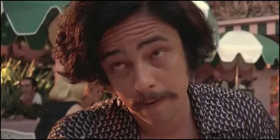 Comment s'appelle cette comédie dramatique avec Del Toro ?