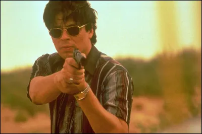 Comment s'intitule ce film policier avec Del Toro ?