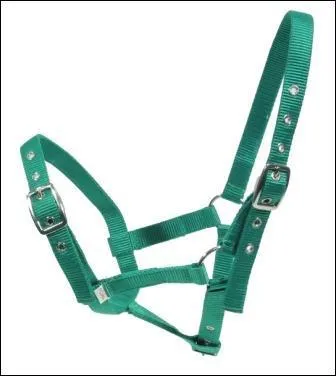 Qu'est-ce que c'est ?