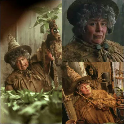 Quel cours aimerais-tu le plus ?