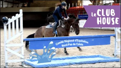 Quel est cet obstacle ?