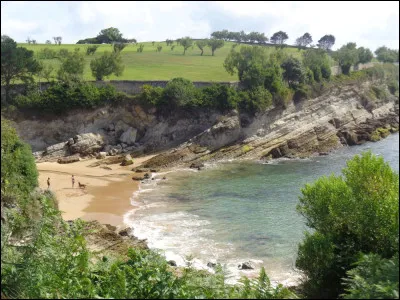 Quelle était la profession de Louis Zamenhof, considéré comme l'inventeur de l'esperanto ?