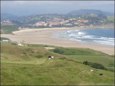 Quelle couleur est traditionnellement associée à l'espoir dans la culture occidentale ?