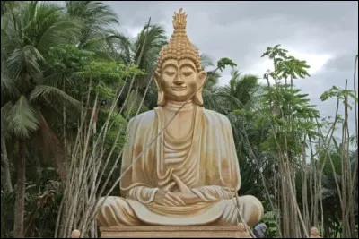 Bouddhisme : quel est le nom des enseignements donnés par Siddhārtha Gautama, fondateur du bouddhisme ?