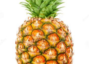 Quiz Les ananas