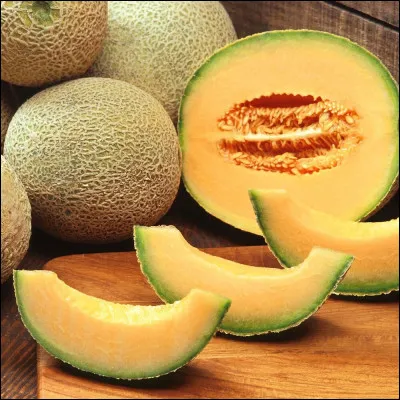 Pourquoi le melon est-il classé parmi les baies ?