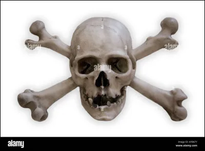 Pourquoi laver le melon avant de le manger ?