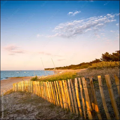 Pour le C.C d'opposition que faut-il mettre derrière "malgré" ?