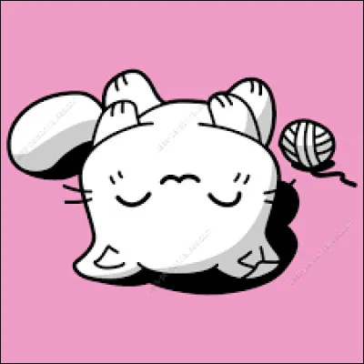 Quel est le petit mot du C.C de condition ?