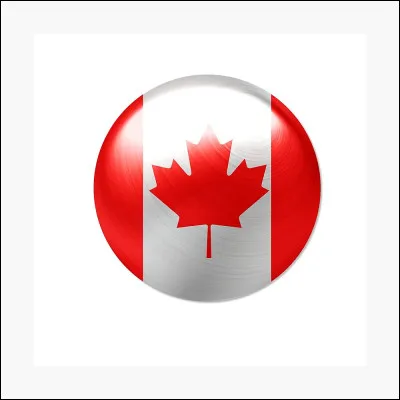 De quel pays est ce drapeau ?