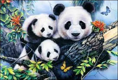 Quelle association est vouée à la protection de l'environnement et au développement durable ?