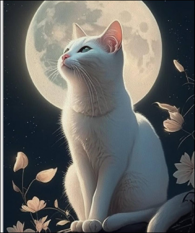 Quelques lunes plus tard, tu es nomm&eacute;e guerri&egrave;re/gu&eacute;risseuse sous le nom de Pelage de Lune !