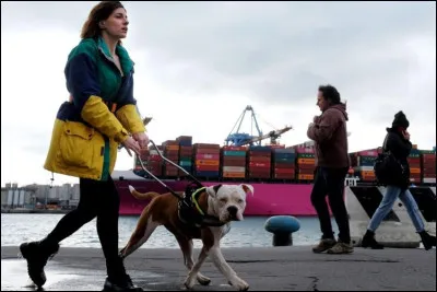 Pour finir.
À quoi Blanca oblige-t-elle sa mère ?