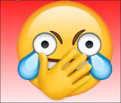 Il ne faut pas rire devant une telle situation.