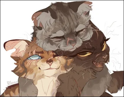 Tu arrives au clan et la cheffe, qui t'avait trouvée avec sa patrouille, décide que tu vas devenir apprentie dans son clan et te nomme Nuage de Pie. Qui voudrais-tu comme mentor ?