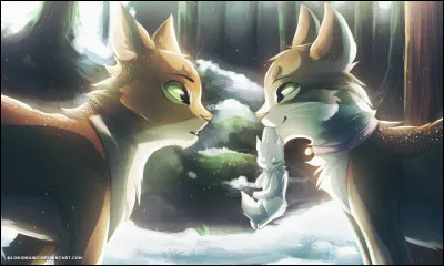 Tu t'habitues à la vie dans la grange avec Brume. Et celui-ci est très heureux de ne plus être seul ! Tu restes des lunes et des lunes encore avec lui. Puis un jour tu remarques en pleine nuit des chats errants qui emportent des chatons de ton Clan... enfin ton ancien Clan. Que décides-tu de faire ?