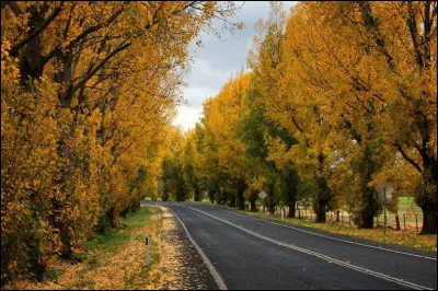 Le 18 février 2023, quel évènement a eu lieu à Bathurst en Australie ?