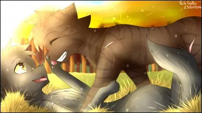 Comment réagit Étoile Grise quand il apprend que Croc Jaune porte ses chatons ?