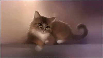 Quel est son nom de chaton ?