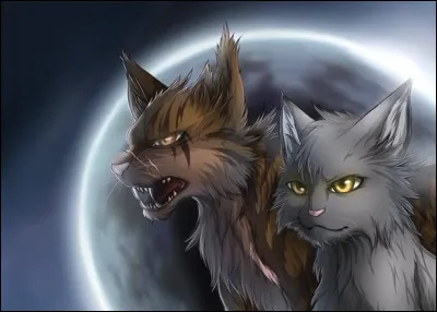 Qui est son compagnon ?