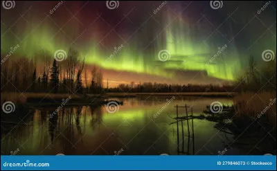 Tu préfères les films :