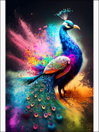 Lequel des deux "fait la roue" pour séduire l'autre ?