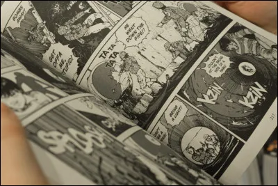 Quel type de mangas aimes-tu ?