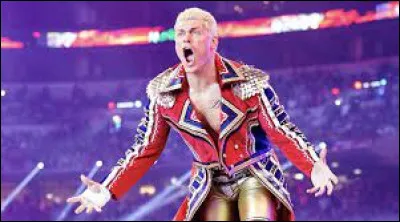 Lequel de ces hommes affrontera Roman Reigns pour Westlemania 40 pour l'Undisputed WWE Universal Championship ?