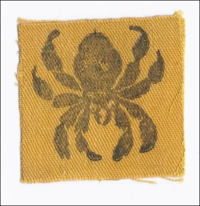 Cet écusson ayant pour logo une araignée est celui de la 81e division d'Afrique (Empire britannique). Où cette unité a principalement été déployée durant la Seconde Guerre mondiale ?