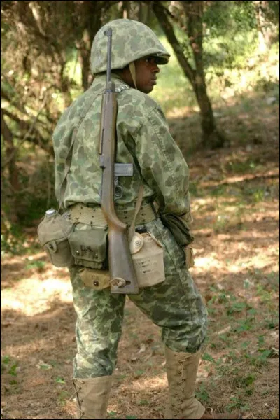 Dès 1941, comme bon nombre d'autres pays, l'Us Army commence une réflexion sur l'efficacité des tenues camouflées allemandes et décide d'expérimenter certains modèles comme le "Frog Skin".
Ce camouflage a été retiré de certaines unités américaines durant la bataille de Normandie pour cause de "tirs-amis" et une ressemblance avec les tenues camouflées allemande, mais est-ce exact à 100 % ?