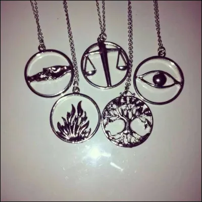 Dans quelle faction penses-tu te sentir le mieux ? (2)