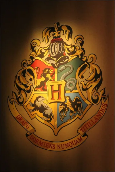 Quelle est ta maison dans ''Harry Potter'' ?
