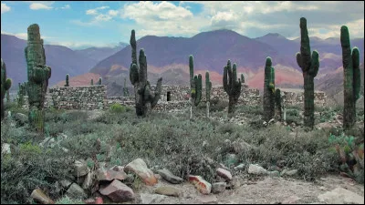 Quel paysage préfères-tu ?