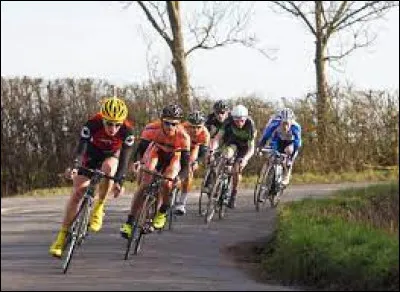 Sport très populaire :