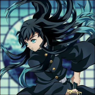 Avant de devenir Pourfendeur, il était :