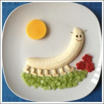 Quel est le nom de cet animal ?