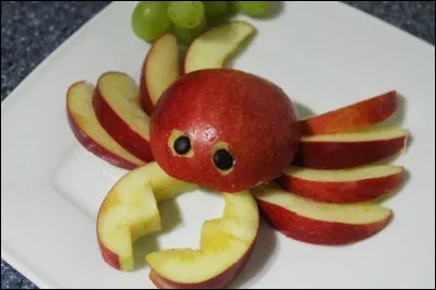 Quel est cet animal ?