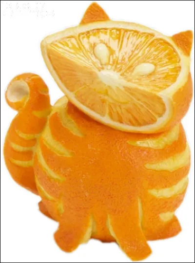 Quel est le nom de cet animal ?