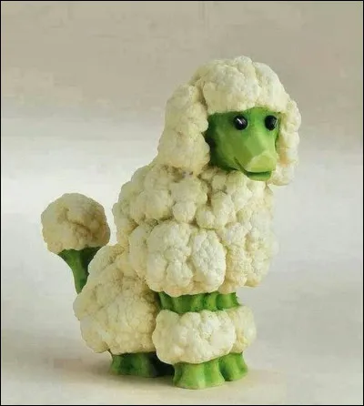 Quel est cet animal ?