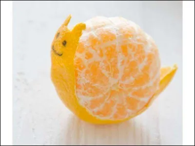 Quel est cet animal ?