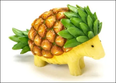 Quel est le nom de cet animal ?