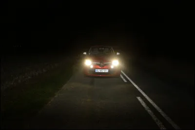 Le chat disparaît avant de te répondre. Tu décides de rentrer au camp mais... sur le chemin du retour tu es obligée de passer par un Chemin du Tonnerre. Tu le traverses mais une voiture te percute et soudain c'est le noir ! Tu te réveilles dans la tanière de Feuille de Givre, elle t'explique que tu as eu un accident et que ta patte arrière droite est blessée. Quelle est ta réaction ?